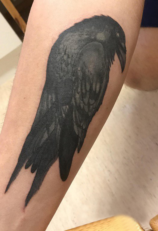点击大图看下一张：纹身鸟 男生小腿上鸟纹身图片