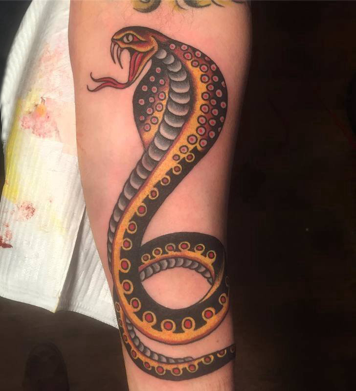 点击大图看下一张：小动物纹身 男生手臂上凶猛的蛇纹身图片