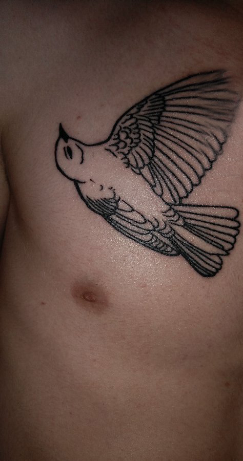 点击大图看下一张：小动物纹身 男生胸部黑色的鸟纹身图片