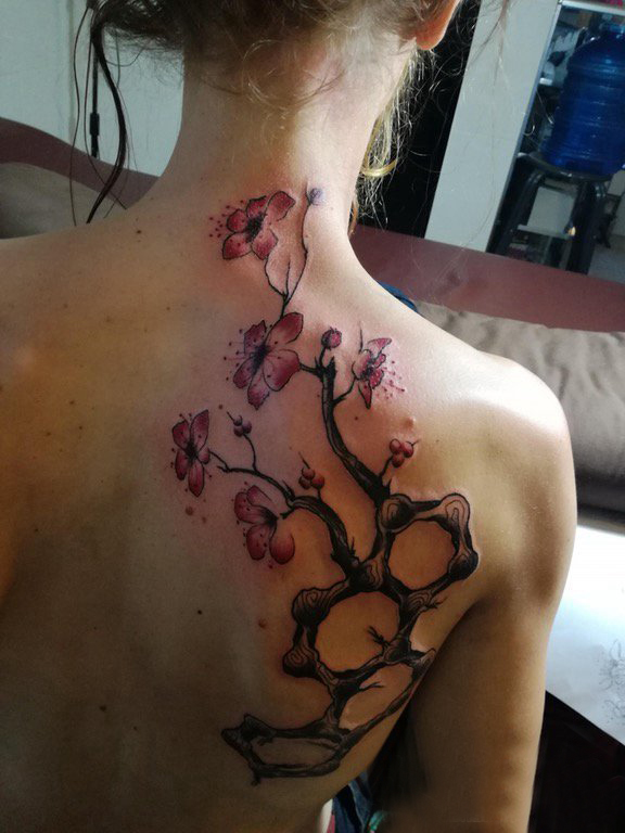 点击大图看下一张：纹身后背女 女生后背上彩色的樱花纹身图片