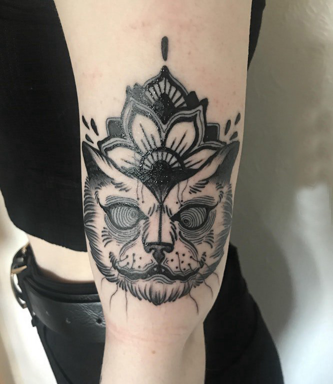 点击大图看下一张：小猫咪纹身 女生手臂上小猫咪纹身唯美图片