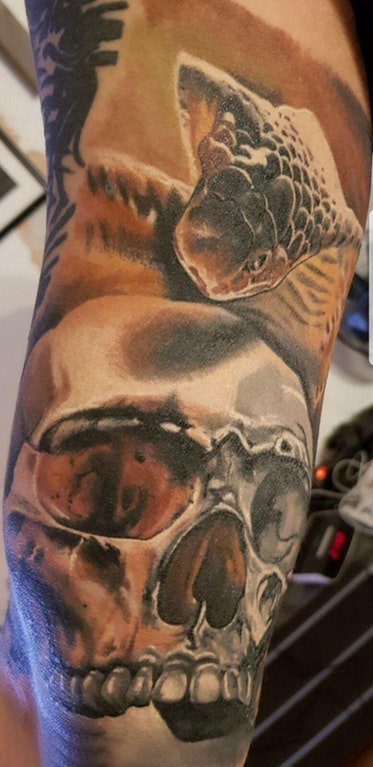 点击大图看下一张：手臂纹身素材 男生手臂上蛇和骷髅纹身图片