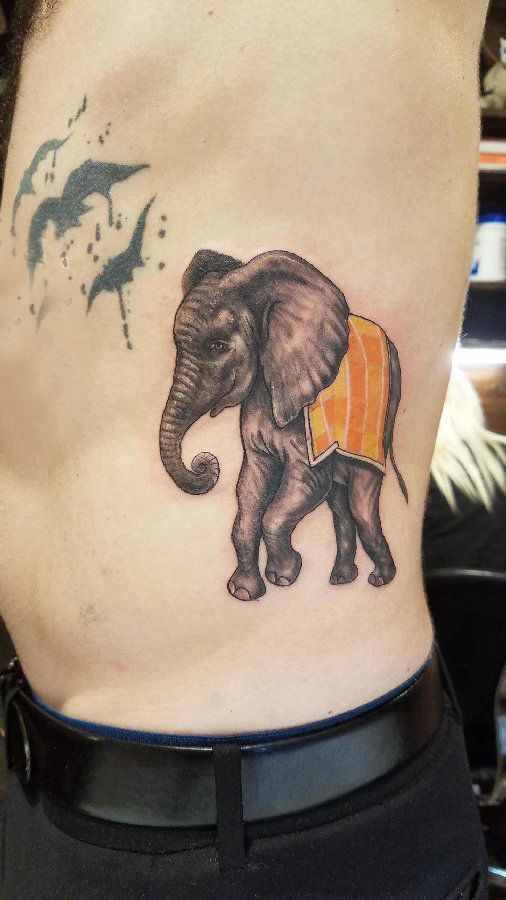 点击大图看下一张：百乐动物纹身 男生侧腰上彩色的象纹身图片