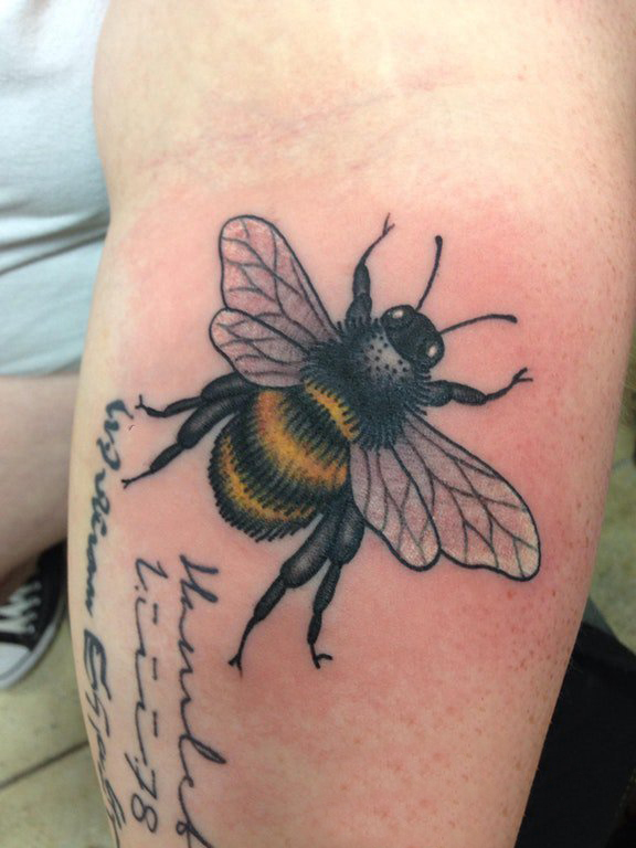 点击大图看下一张：小动物纹身 男生手臂上彩色的蜜蜂纹身图片