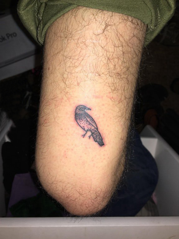 点击大图看下一张：小鸟3d纹身 男生腿部黑色的小鸟纹身图片