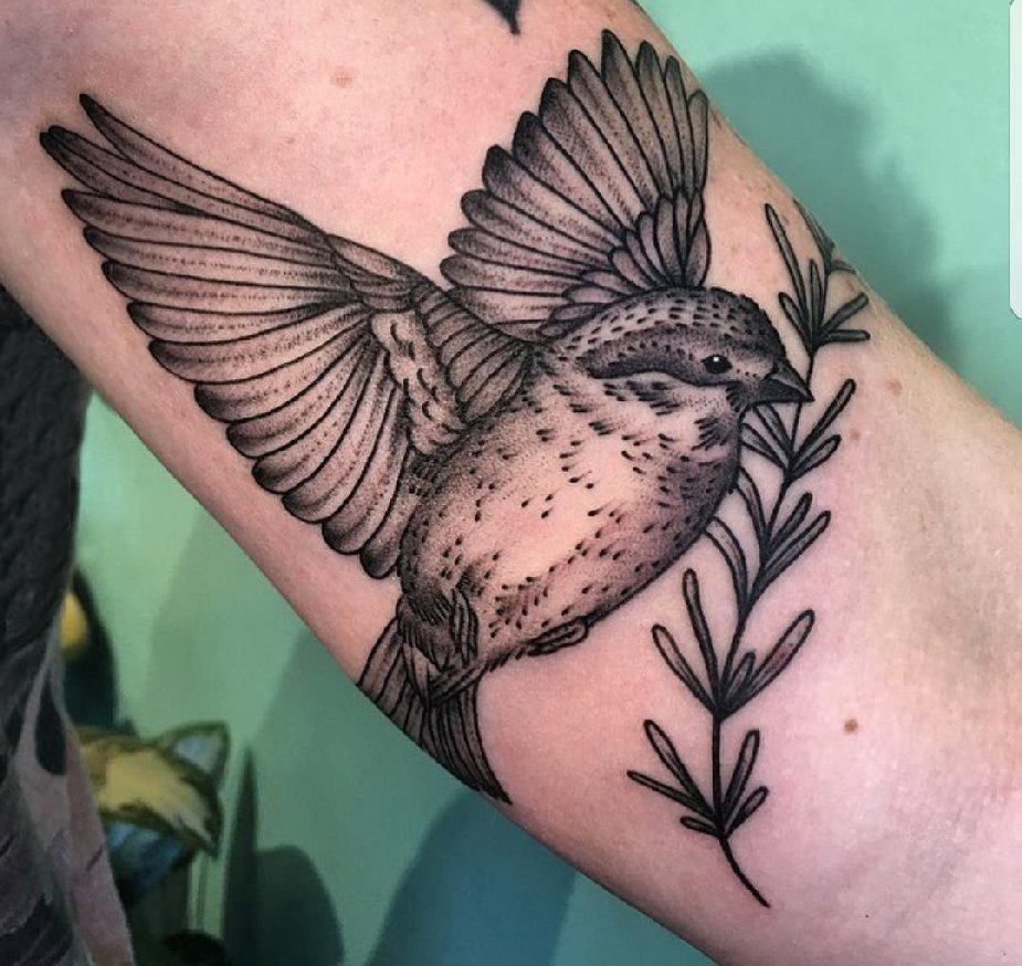 点击大图看下一张：手臂纹身素材 男生手臂上植物和鸟纹身图片
