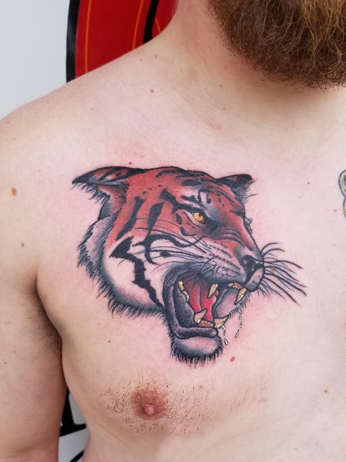 点击大图看下一张：百乐动物纹身 男生胸部彩色的老虎纹身图片