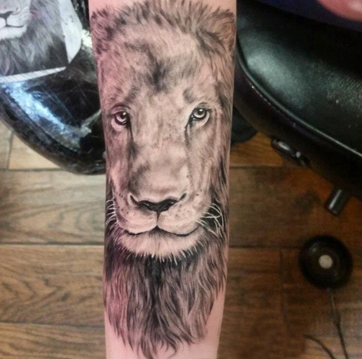 点击大图看下一张：黑灰写实纹身 男生手臂上黑灰的狮子纹身图片