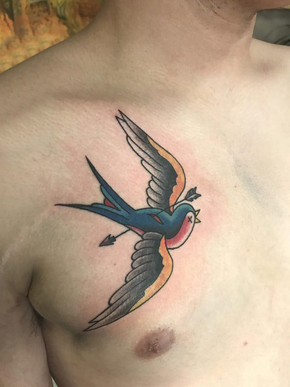点击大图看下一张：鸟纹身 男生胸部彩色纹身鸟纹身图片