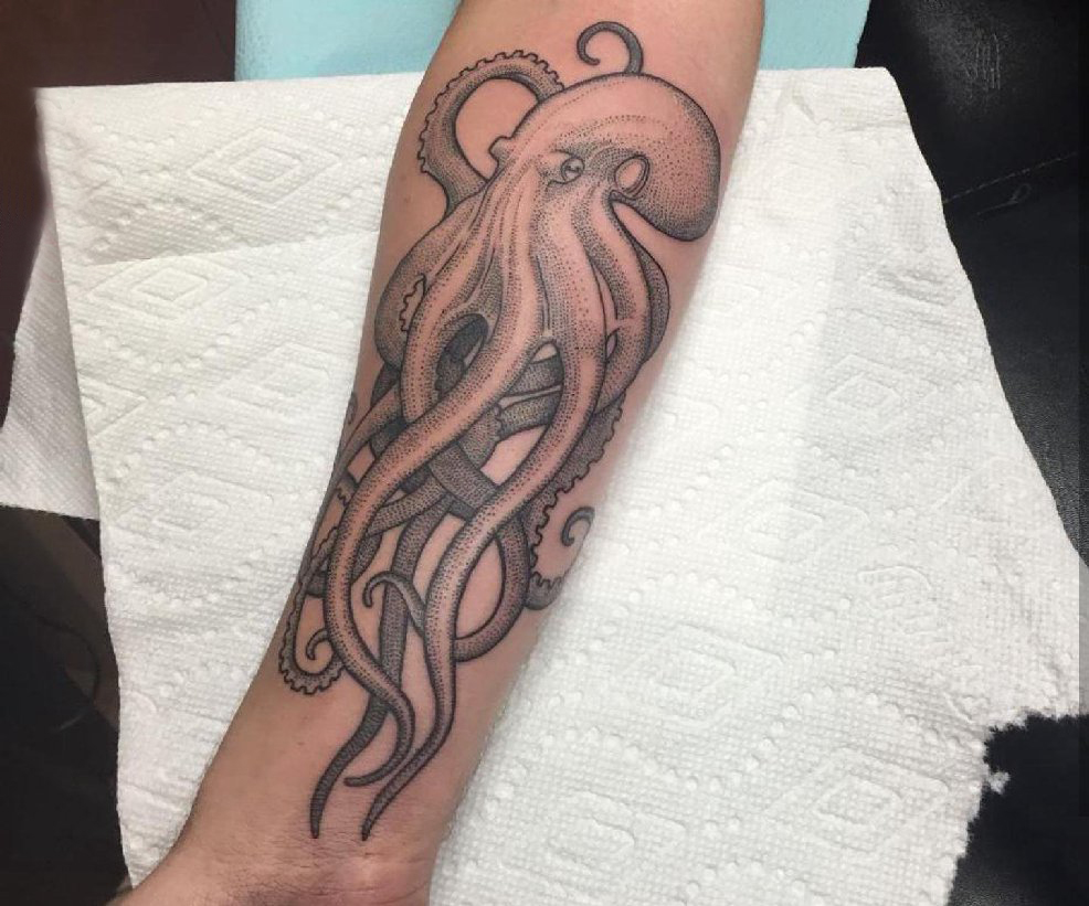 点击大图看下一张：纹身黑色 男生手臂上黑色的章鱼纹身图片