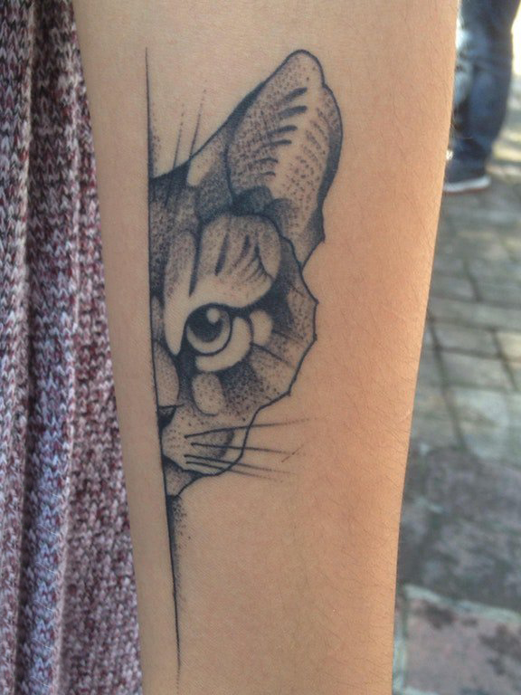 点击大图看下一张：百乐动物纹身 女生手臂上素描的猫咪纹身图片