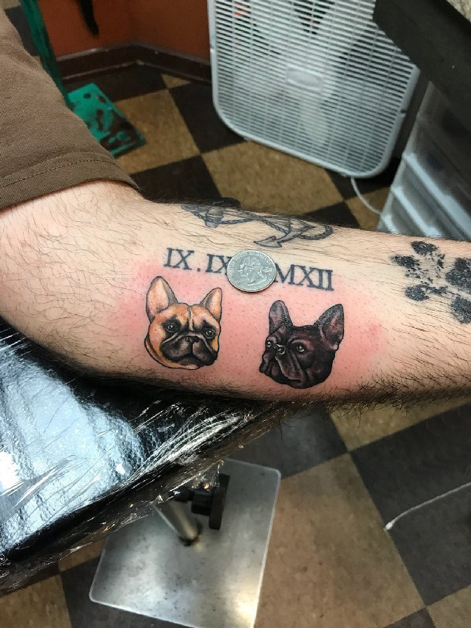 点击大图看下一张：手臂纹身素材 男生手臂上彩色的小狗纹身图片