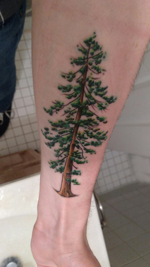 点击大图看下一张：手臂纹身图片 男生手臂上彩色的大树纹身图片