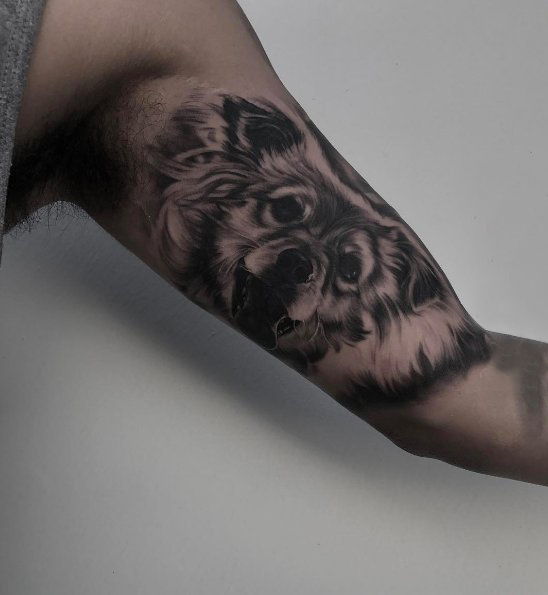 点击大图看下一张：纹身点刺技巧 男生手臂上黑色的狼纹身图片