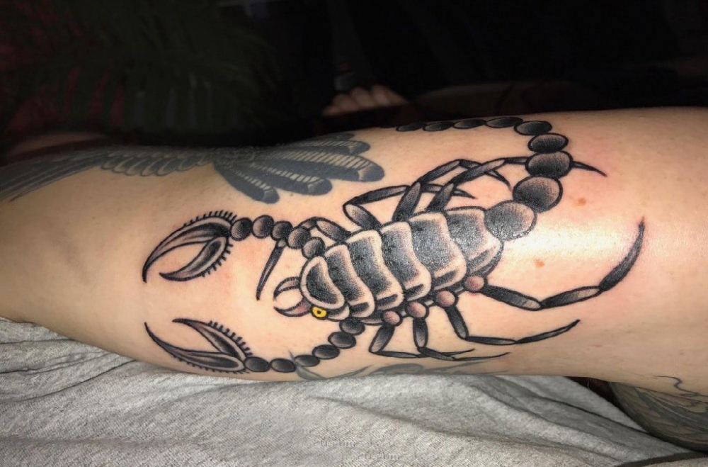 点击大图看下一张：蝎子纹身 男生手臂上黑色的蝎子纹身图片