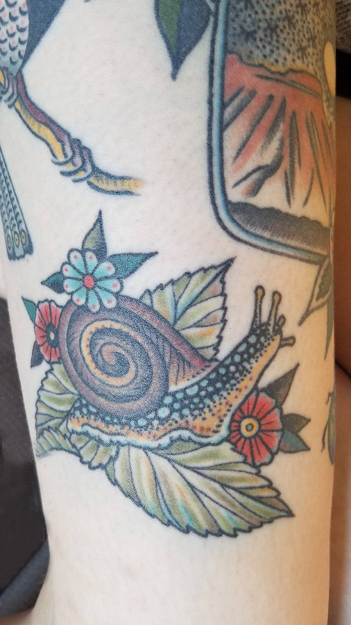 点击大图看下一张：百乐动物纹身 男生手臂上叶子和蜗牛纹身图片