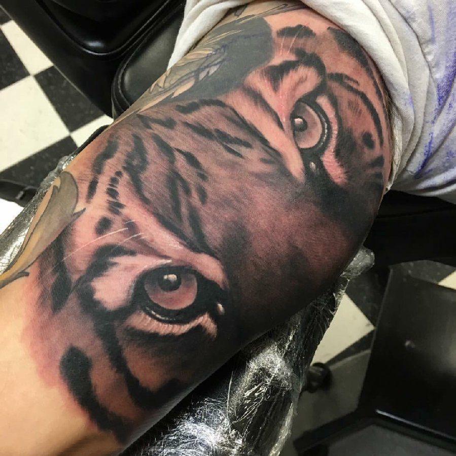 点击大图看下一张：老虎图腾纹身 男生手臂上老虎纹身黑灰纹身图片