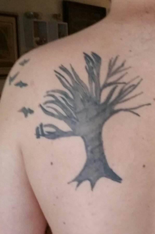 点击大图看下一张：树纹身 男生背部树图腾纹身图片