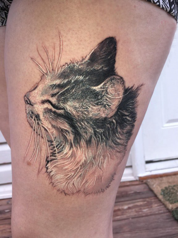 点击大图看下一张：小清新猫咪纹身 女生大腿上小猫咪纹身图片