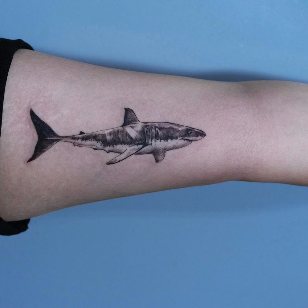点击大图看下一张：鲨鱼纹身图 男生大臂上黑色的鲨鱼纹身图片