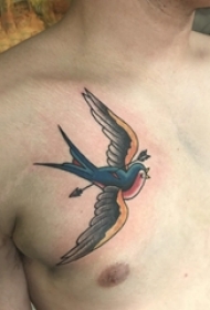 鸟纹身 男生胸部彩色纹身鸟纹身图片