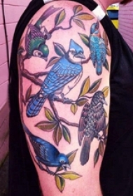 鸟纹身 女生手臂上鸟纹身动物图片