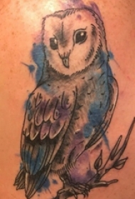 双大臂纹身 男生大臂上彩色的猫头鹰纹身图片