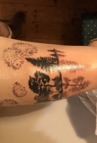 树纹身 女生大腿上树纹身图片