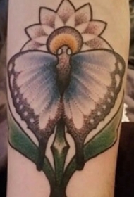 蝴蝶花朵纹身图案 女生手臂上蝴蝶花朵纹身图案