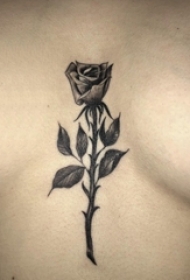 纹身玫瑰 女生胸下黑色的玫瑰纹身图片