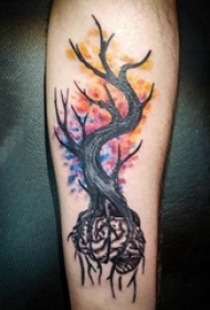 树纹身 男生小腿上树纹身图片