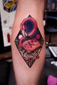 百乐动物纹身 男生小腿上菱形和火烈鸟纹身图片