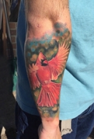 鸟纹身 男生手臂上鸟纹身动物图案