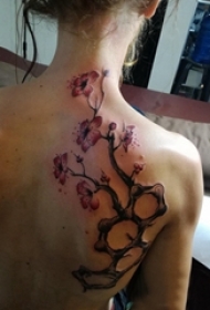 纹身后背女 女生后背上彩色的樱花纹身图片