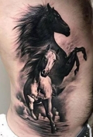 多款设计感十足的动物马纹身图案