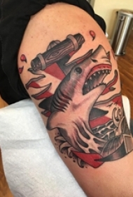 百乐动物纹身 男生大臂上彩色的鲨鱼纹身图片
