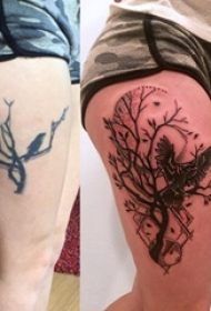 纹身覆盖 女生大腿上树枝和鸟纹身图片