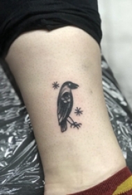 百乐动物纹身 男生小腿上黑色的小鸟纹身图片