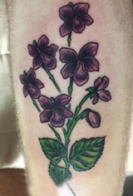 小清新植物纹身 男生小腿上彩色的花朵纹身图片