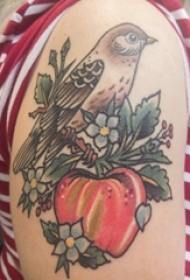 鸟纹身 女生手臂上鸟纹身图片