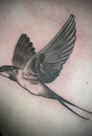 纹身胸部男 男生胸部黑色的鸟纹身图片