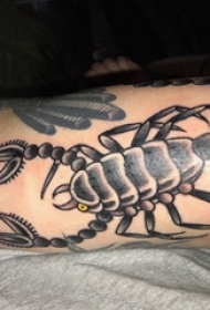 蝎子纹身 男生手臂上黑色的蝎子纹身图片