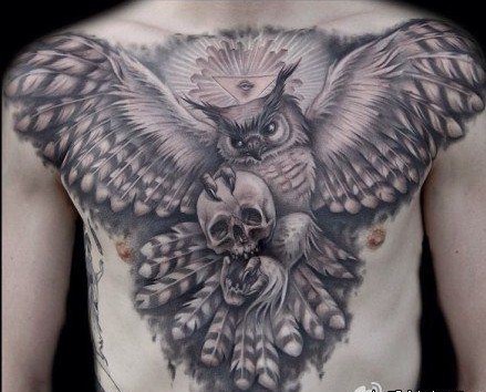 点击大图看下一张：神秘猫头鹰胸部纹身