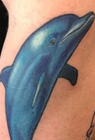 纹身海豚 男生手臂上海豚纹身图片