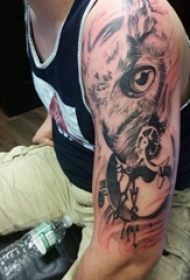 纹身动物 男生手臂上动物纹身图片