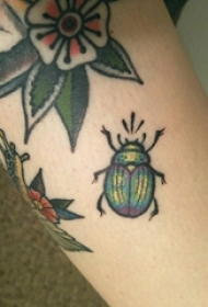 纹身动物 女生小腿上彩色的昆虫纹身图片