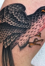 大臂纹身图 男生大臂上彩色的老鹰纹身图片