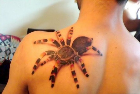 点击大图看下一张：炫酷蜘蛛肩部纹身