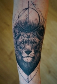 纹身手臂套 男生手臂上黑色的狮子纹身图片