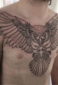 纹身胸部男 男生胸部黑色的猫头鹰纹身图片